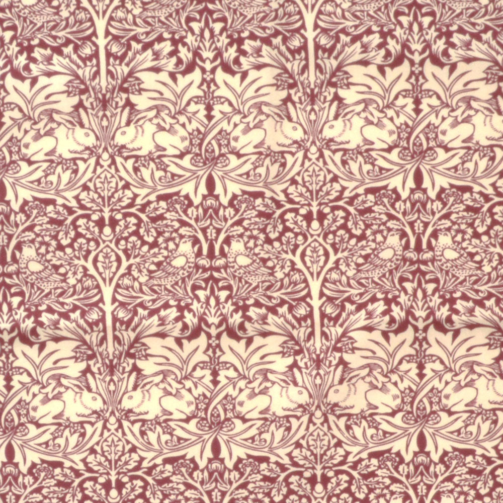 ブラザーラビット(Brother Rabbit)