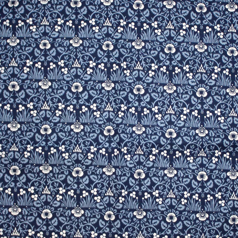 アイブライト(Eyebright)