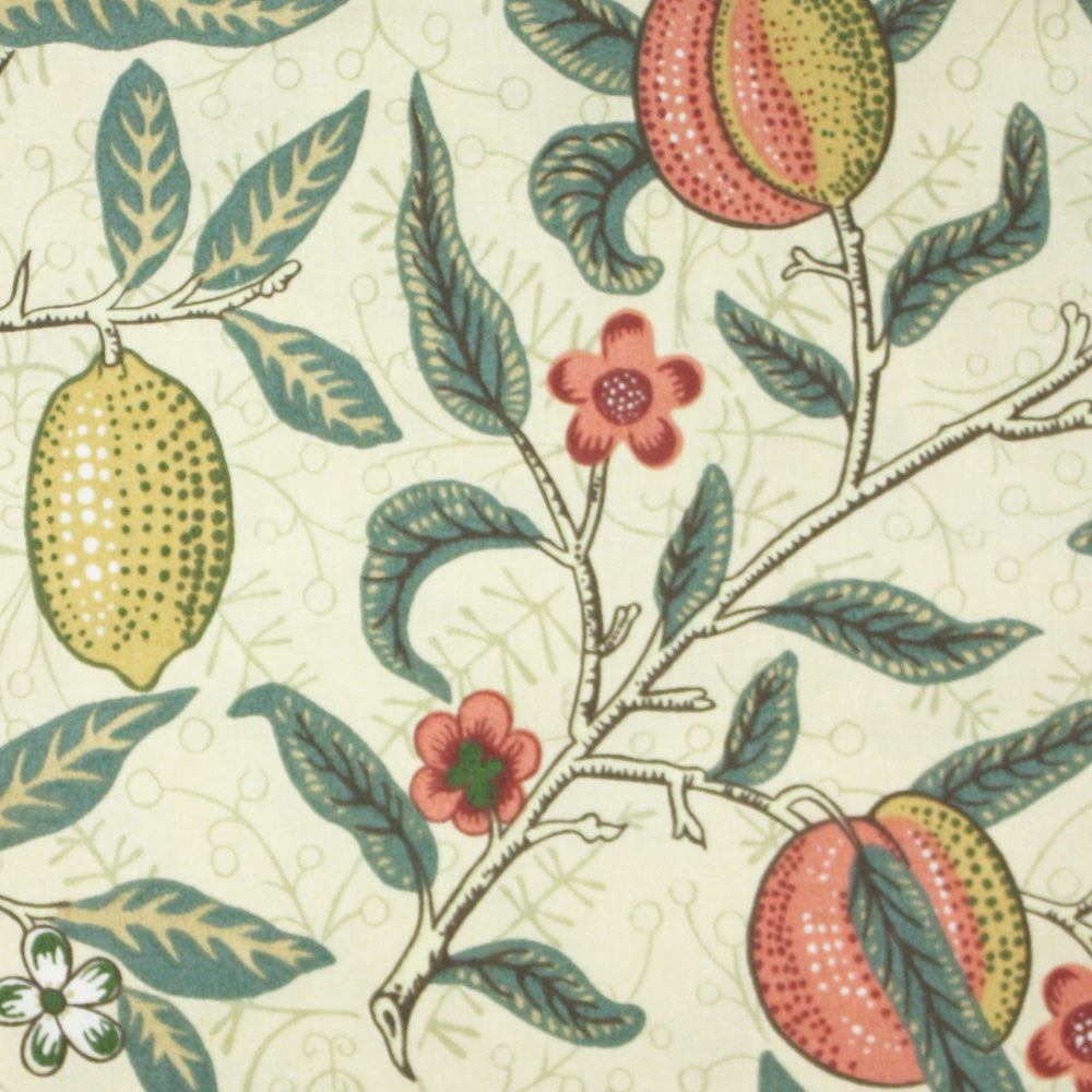 フルーツ(Fruits)