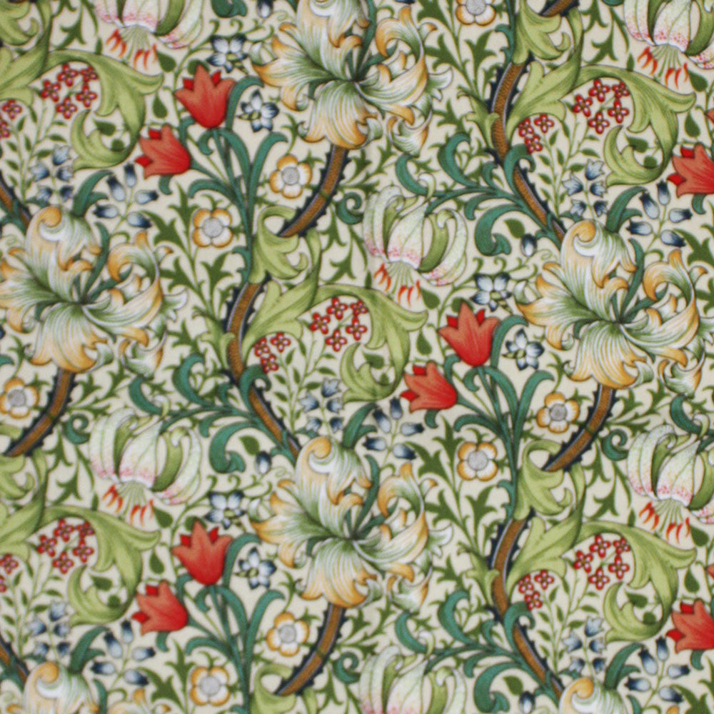 ゴールデンリリー(Golden Lily)