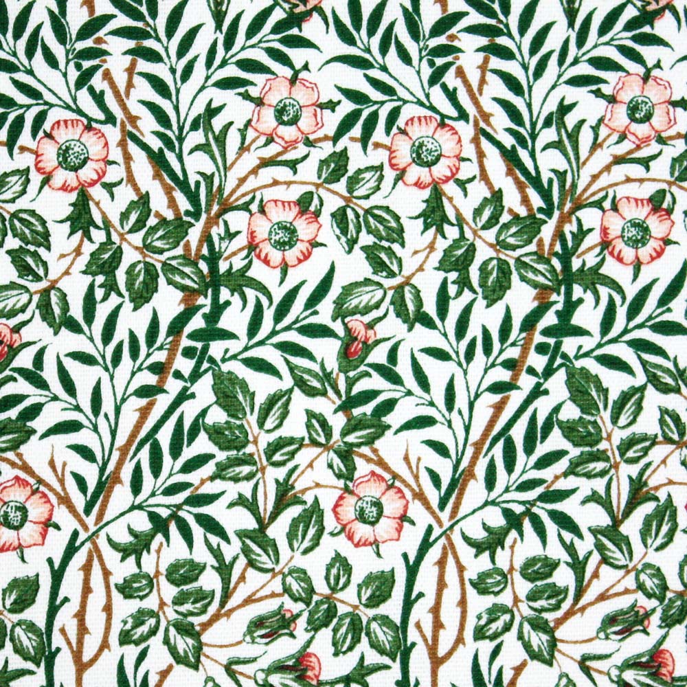 スイートブライア(Sweet Briar)